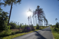 Cesta k Nové Říši