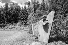 Busta Antonína Dvořáka