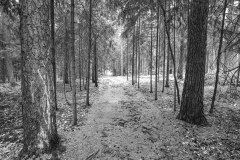 Cesta k Rusalčinu jezírku