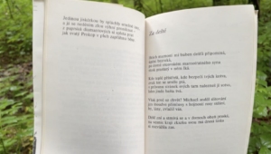 Jan Zahradníček - Za deště
