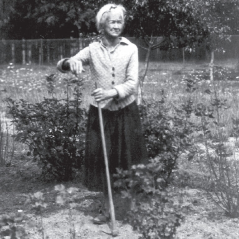 Týden s básnířkou: Anna Pammrová – …Svátečně vzácný úkaz